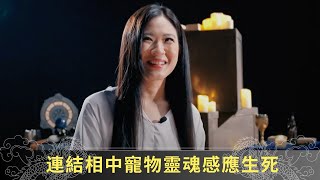 神奇魔水通靈能力倍數上昇 連結相中寵物靈魂感應生死  通靈之王2 梁思浩 簡信回 張芯熏 ep05 在線重溫 [upl. by Otilopih]