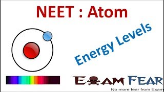 NEET Physics Atom  Energy Levels Excitation Binding Ionization Energy [upl. by Adile9]