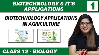 Biotechnology amp Its Application 01  Biotechnology Application in Agriculture  Class 12 NCERT [upl. by Alexandr396]