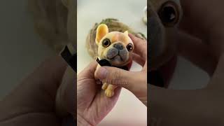 The French bulldog so amazing cute puppy frenchbulldog squishy kawaiiaesthetic satisfying [upl. by Guevara79]