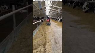 You will be amazed by the cow farm machines।😱shortvideo amazingfacts [upl. by Lakym]