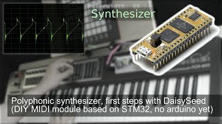 Polyphonic synthesizer first steps with DaisySeed DIY MIDI module based on STM32 no arduino yet [upl. by Yanej291]