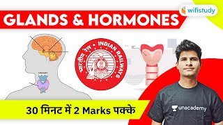 Hormone test for female in Hindi  Hormone test kaise hota hai [upl. by Neufer]