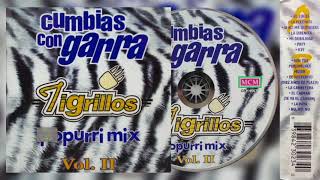 💖Tigrillos  Cumbias Con Garra Popurri Mix Vol 2 1998💖 [upl. by Fabriane]