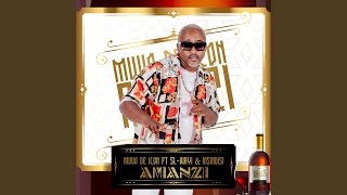 Amanzi feat SLWayi amp Msindisi [upl. by Ayiram]