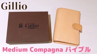 Gillio FIRENZE Medium Compagna UNDYEDシステム手帳 バイブル ジリオ 未染色 フランクリンプランナー パーソナルサイズ コンパクトサイズ Personal [upl. by Aman]