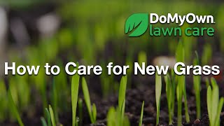 How to Care for New Grass  DoMyOwncom [upl. by Kiersten]