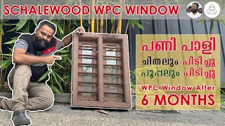 Can Borers Attack Schalewood WPC  Watch Full Video  Test by after 6 Months [upl. by Mansoor]