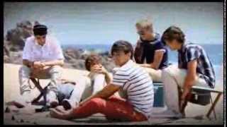 One Direction  Wonderwall  Im Yours Covers [upl. by Even511]