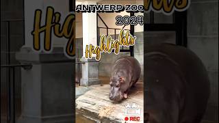 HIGHLIGHTS FROM ANTWERP ZOO  2024 [upl. by Amabel144]