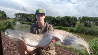 30 fish landed 48hrs at Coking Farms Alder Lake [upl. by Ede]