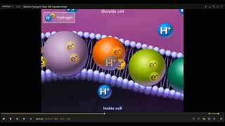 L39 OXIDATIVE PHOSPHORYLATION [upl. by Carlo]