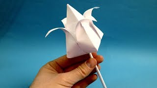 how to make paper tulip paper tulip flower [upl. by Hamaso]