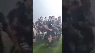 All Blacks dance to quotHop Hop Spinnekopquot [upl. by Aleac]