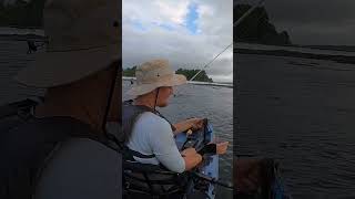 INVASIVE Spotted Bass fishing riverfishing kayakfishing [upl. by Odlanyer781]