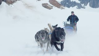 Iditarod Winner Shares Her Victory Story  Princess Cruises [upl. by Cogswell]