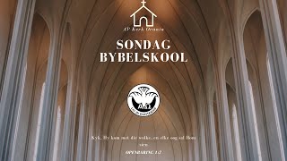 Bybelskool  Openbaring 14120 [upl. by Alemap236]