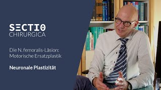 Motorische Ersatzplastik Neuronale Plastizität [upl. by Iphagenia]