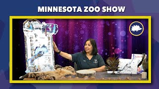 MN Zoo Show — 092624 [upl. by Akeinahs]