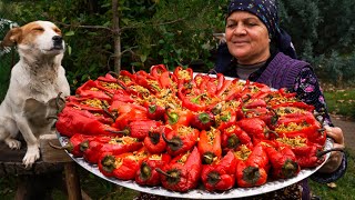 From Garden to Plate  Traditional Stuffed Bell Peppers [upl. by Ssepmet]