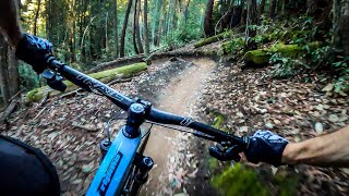 The BEST mountain bike ride in Northern California  The Flow Trail  Soquel Demo Forest [upl. by Acissj]