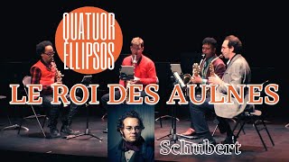 Le Roi des Aulnes  Franz Schubert 🎷 [upl. by Lezley]