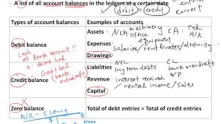 Trial Balance [upl. by Nnyleahs]