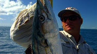 Key West Reef Fishing for Yellowtail Snapper and Cero Mackerel [upl. by Brander778]