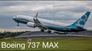 Boeing 737 MAX Fast rotation and vertical climb [upl. by Milford985]