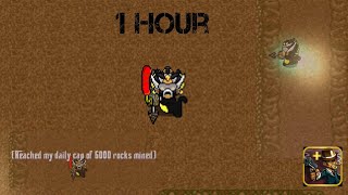 Graal Era Mining over 2k rocks in one video Reached Mining Cap [upl. by Berkshire]