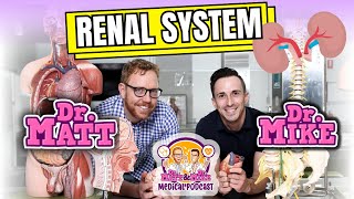 Renal System  Overview [upl. by Naloj450]