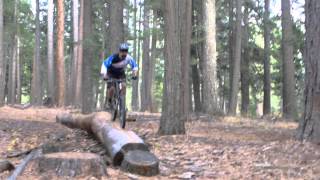 Pioneer Trail Bike Play Nevada City [upl. by Olson664]