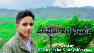 Pawena Nil Walawe පාවෙනා නිල් වලාවේ  Cover By Kaveesha Nanayakkara [upl. by Oak705]