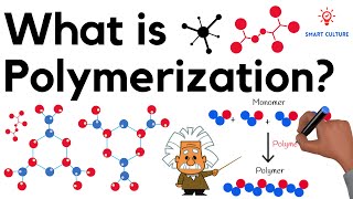 What is Polymerization [upl. by Maggy]