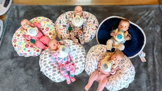 How We Feed Five Babies  Freels Quintuplets  Goat Milk Formula Our 27 Week Preemies Are Thriving [upl. by Joliet]