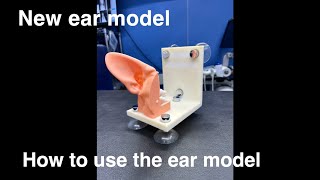 New ear model  How to use the ear model [upl. by Maia]