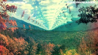 Tame Impala  InnerSpeaker Full Album [upl. by Skyla]