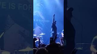 Misery Signals  The Failsafe Live Clip 2024 shorts [upl. by Osicran]