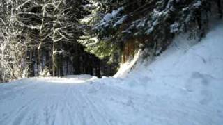 SANKANJE SLEDDING STORŽIČ TRŽIČ [upl. by Nikaniki]