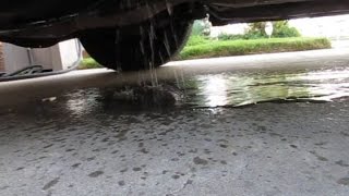 How to unclog your car AC drain line [upl. by Ahse125]