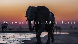 Botswana Best Self Drive Safari Adventure [upl. by Ojillek]