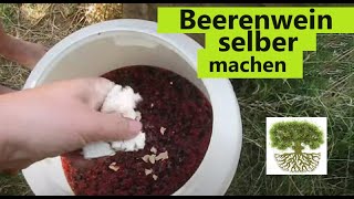 Wein aus Beeren und Obst herstellen  Wein selber machen [upl. by Casimire652]