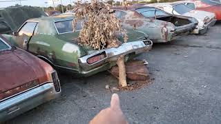 Classic Autos found in Tennessee Car Lot Must See for All that Loves Cars [upl. by Erdnaet]