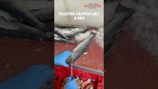 Filleting salmon like a pro 🍣 foryou neerlandia urk salmon filleting [upl. by Wilek]