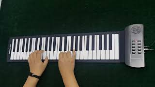 49 Keys Roll Up Piano [upl. by Redfield800]