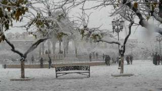 BLIDA SOUS LA NEIGEwmv [upl. by Maisie]