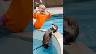 Baby Boy Playing With Sea Otter 🦦 Baby Otter BabyBoy [upl. by Garett]