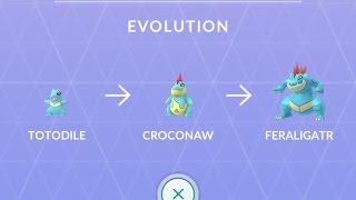 Feraligatr Full Evolution Chain Totodile  Croconaw  Feraligatr Pokemon GO Gen 2 Pokedex Entry [upl. by Reitman]