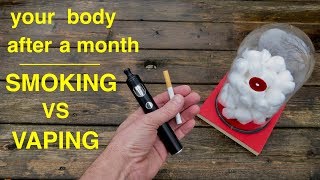 How Smoking vs Vaping Affects Your Lungs ● You Must See This [upl. by Secnarfyram]