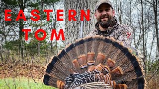 Decoying and Calling Spring Turkeys in Wisconsin [upl. by Ferren]